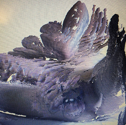 Interrupted 3D scan by artist Paul Coombs